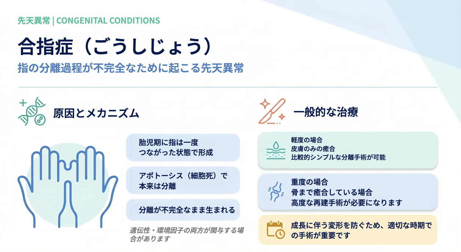 子どもの手の先天異常（多指症・合指症など）原因と治療法｜手外科が解説【八王子 高月整形外科病院】 | 医療法人社団八九十会 高月整形外科病院