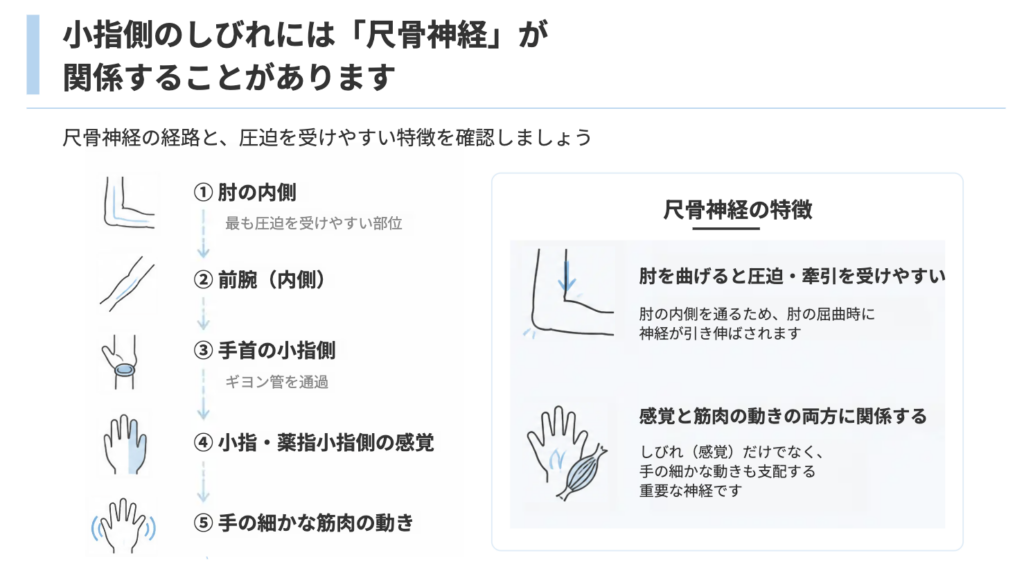 八王子エリアで小指・薬指のしびれにお悩みの方へ|高月整形外科病院 形成外科が肘部管症候群を解説 | 医療法人社団八九十会 高月整形外科病院